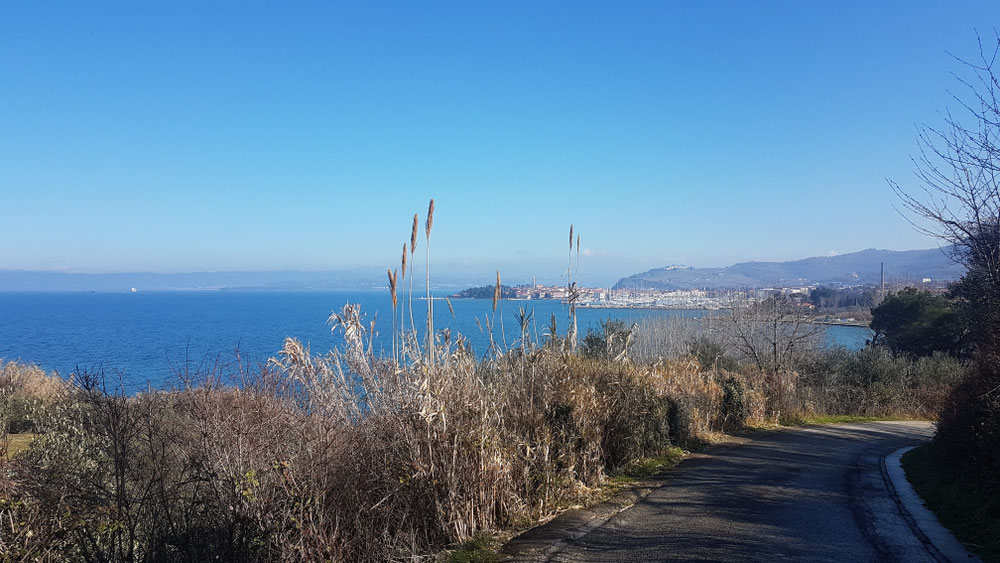 Blick zurück auf Izola