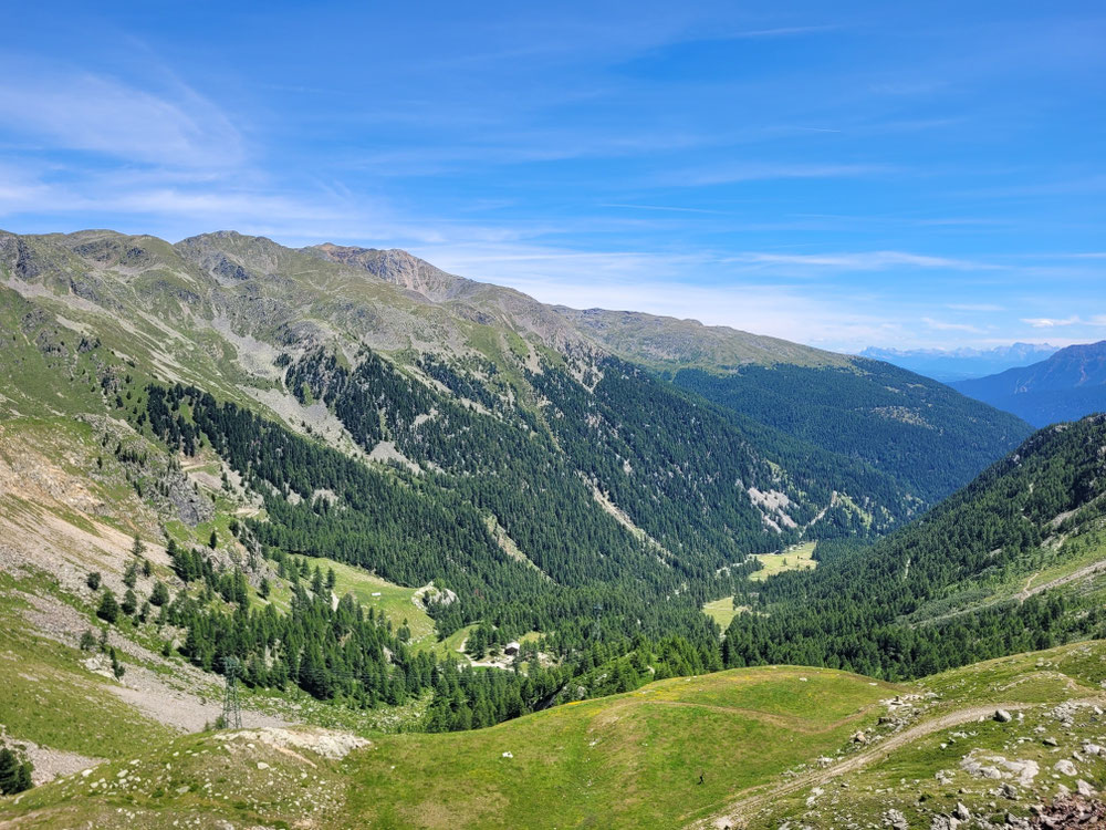 Blick auf Kuppelwieser Alm und Steinrast