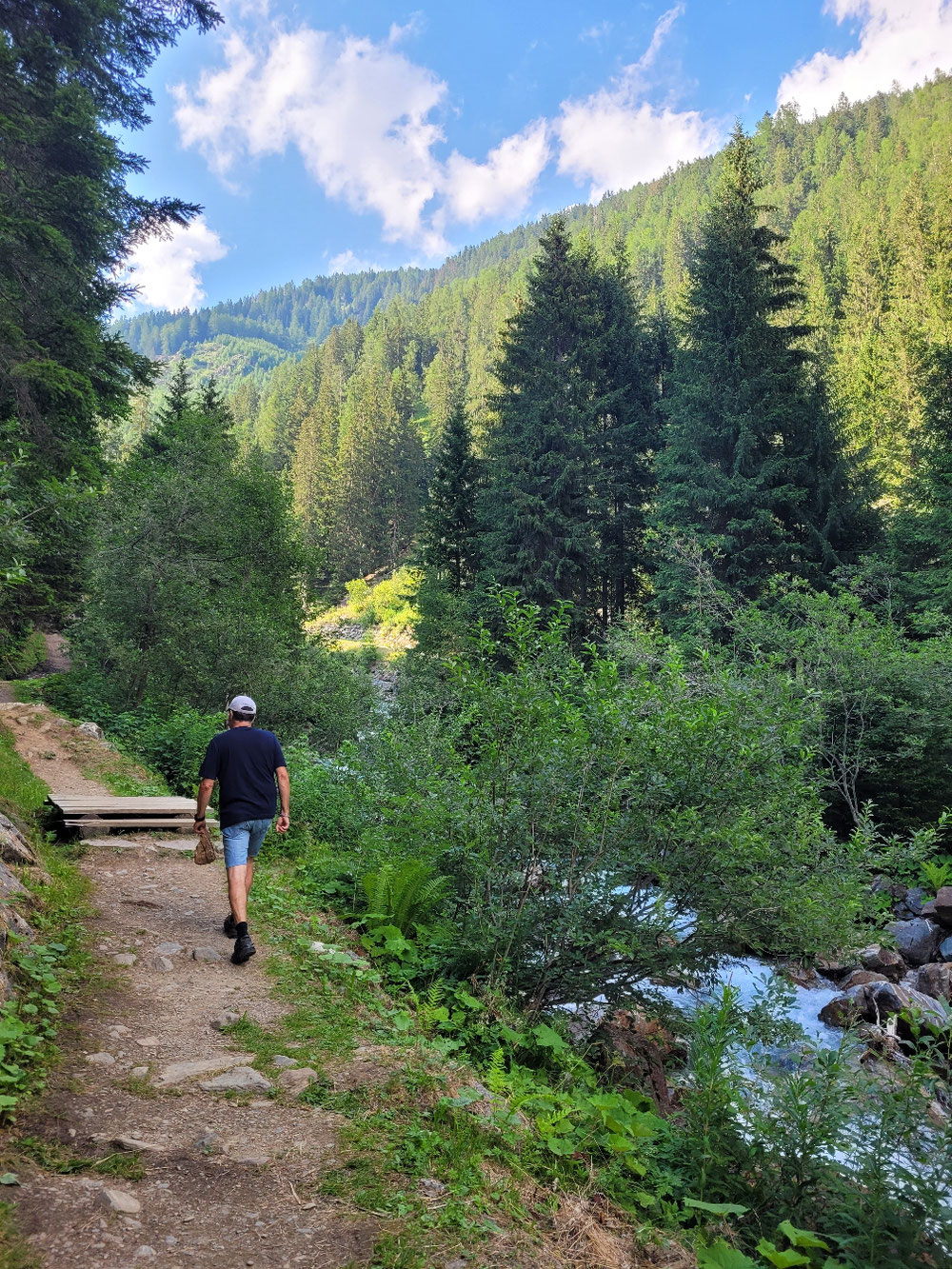 Auf dem Weg zu den Brennnesseln, mit Sackerl