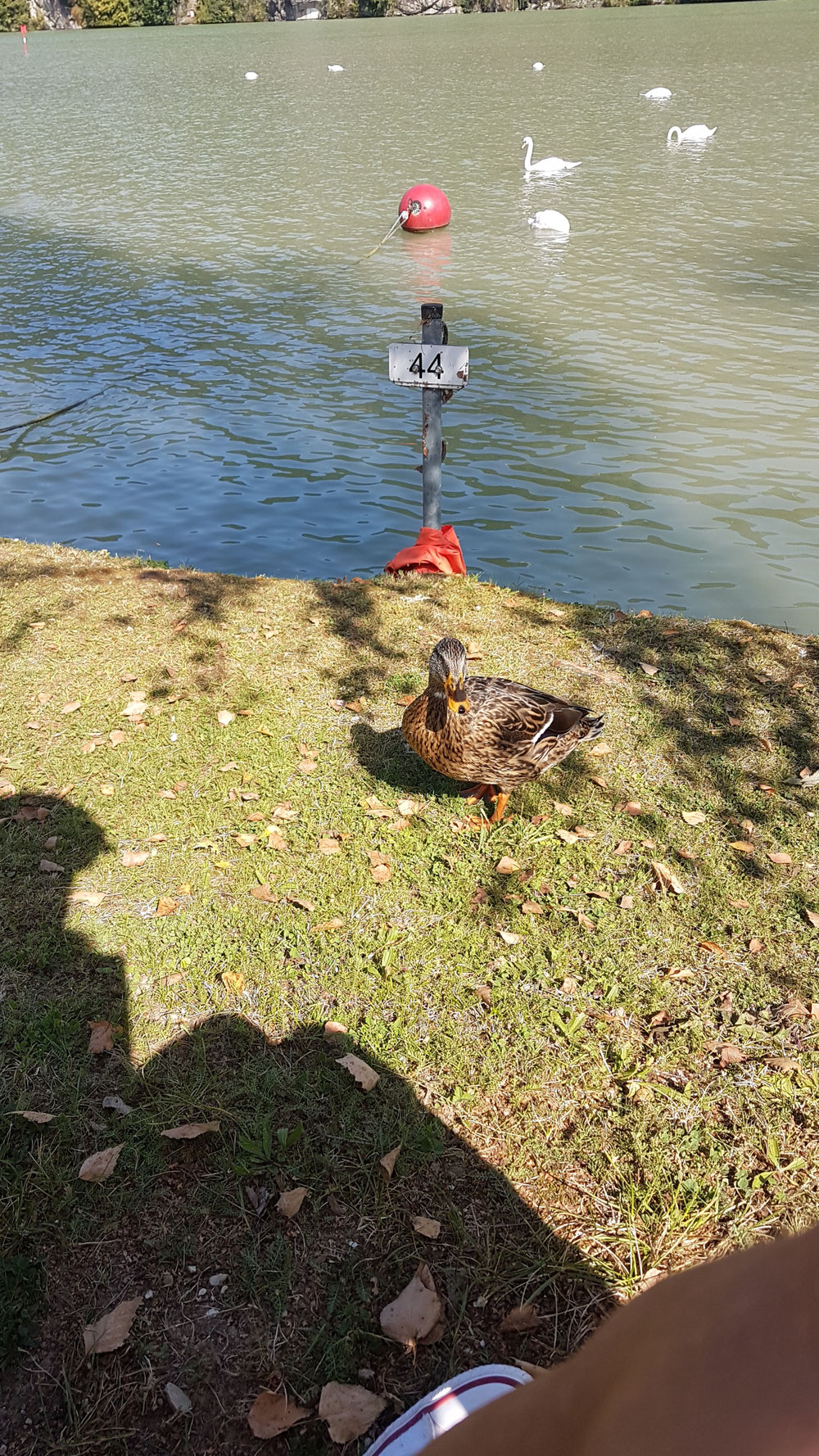 🦆 will was von unserer Jause