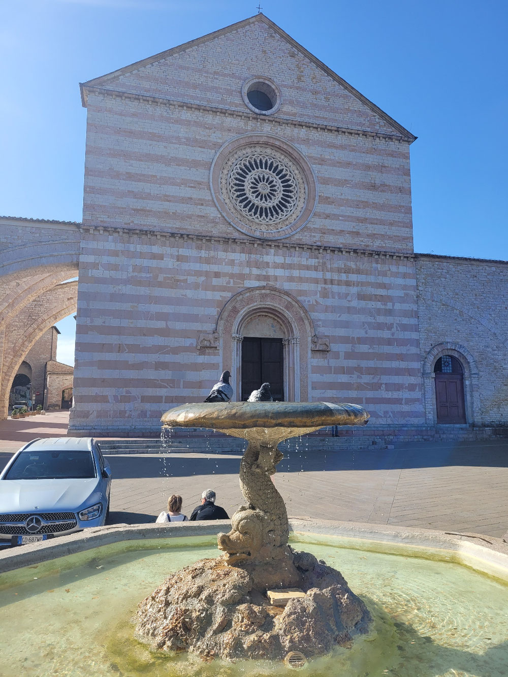 Basilica di Santa Chiara - nur Taube(r/n)