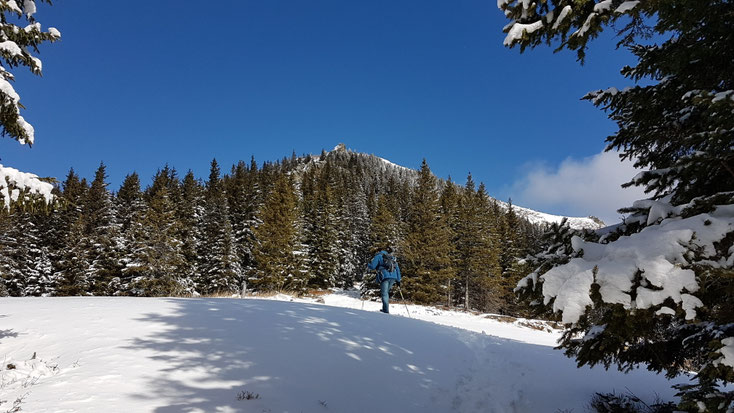 Rappoldkogel Aufstieg