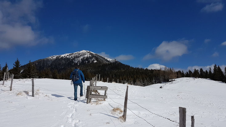 Rappoldkogel Aufstieg