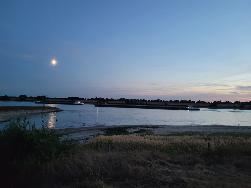 Blick auf den Rhein und nach Deutschland