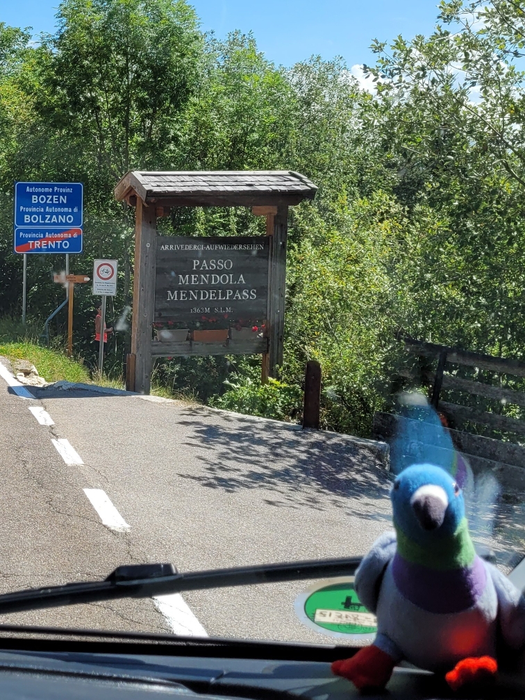 Am Mendelpass: Übergang vom Trentino nach Südtirol 💡