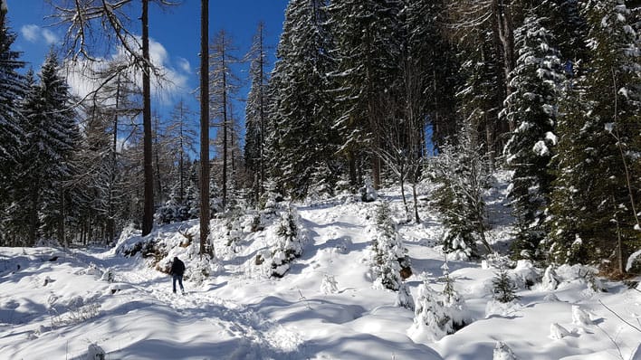 Reinischkogel Schneewanderung (1463 M)