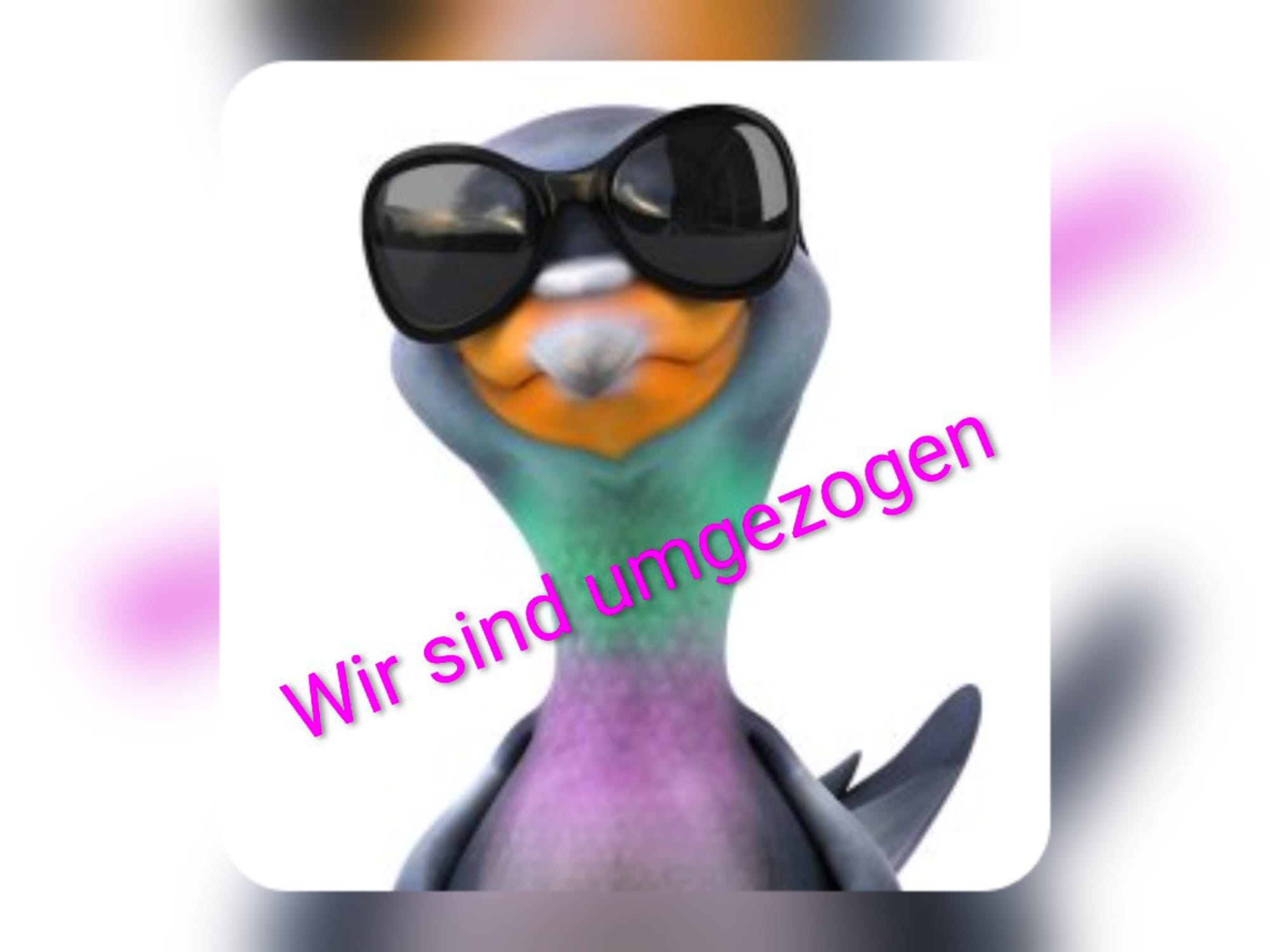 04.03.26 Wieder einmal umgezogen