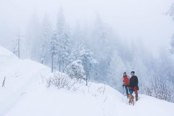 Schöckl im Schnee (1445 M)