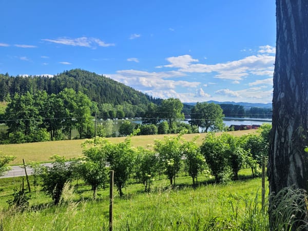 18.05.24 Pfingsten am Sulmsee: 🐈‍⬛ Kratzer