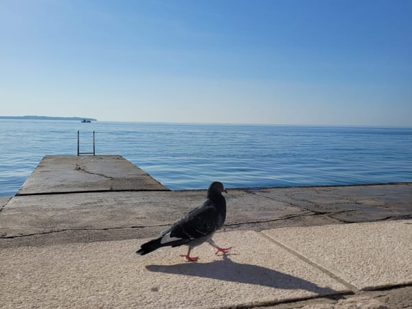 21.10.24 Izola Geburtstagswochenende: Piran