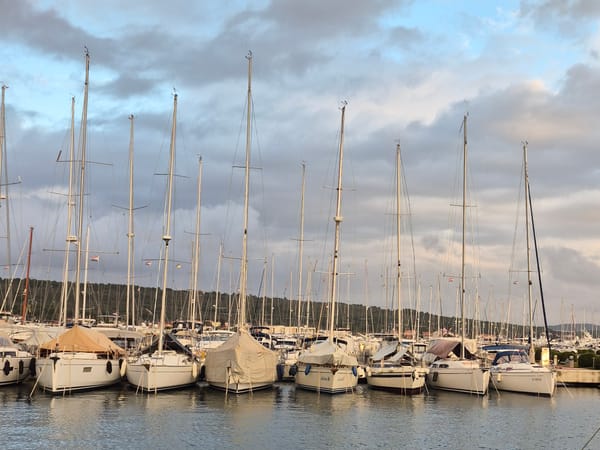 24.01.26 Sukošan January: Rupert II